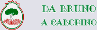 Da Bruno A Cabopino